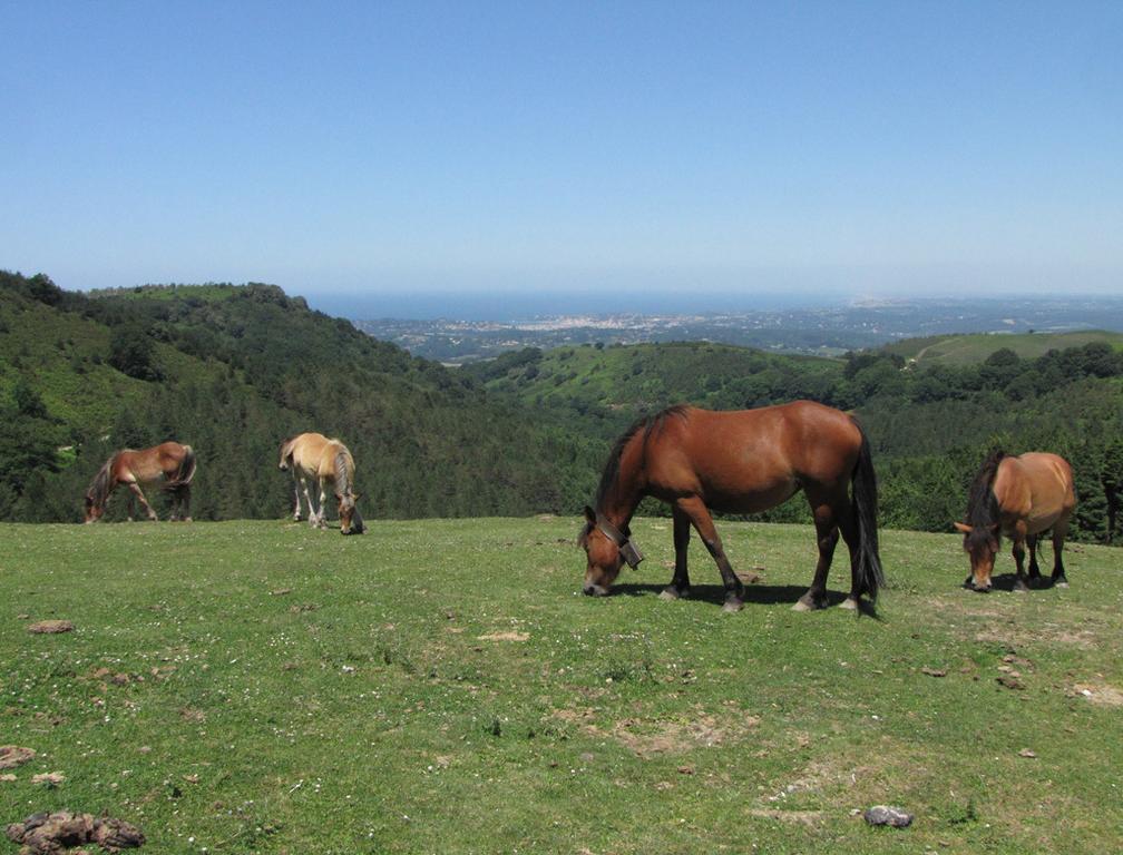 Séjour à la campagne Erreteneko Borda *