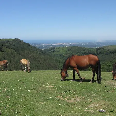 Casa Rural Erreteneko Borda Bera  Kamer foto